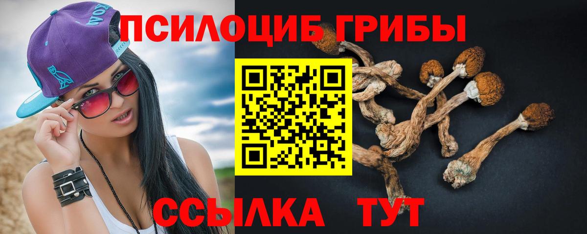 Галлюциногенные грибы мухоморы  Псилоцибиновые грибы ЛСД  Кузнецк  Вход с VPN 
